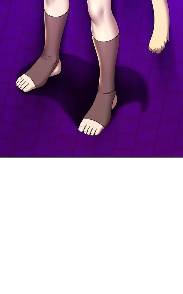 Page 441 of Chapter 95