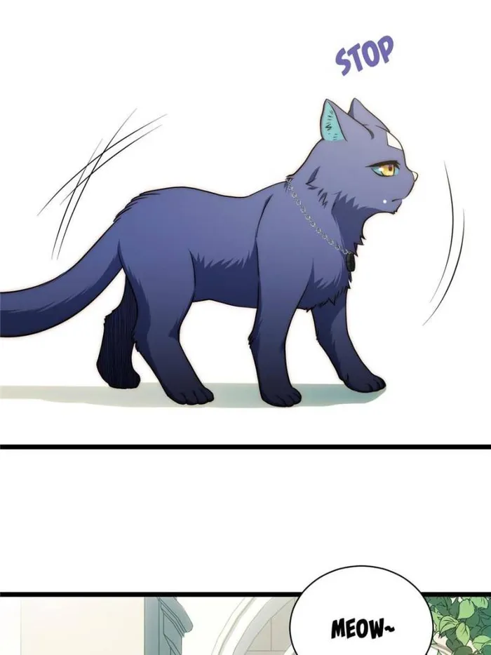Page 50 of Chapter 153