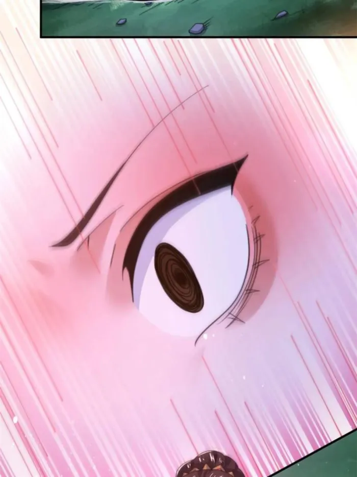 Page 43 of Chapter 205
