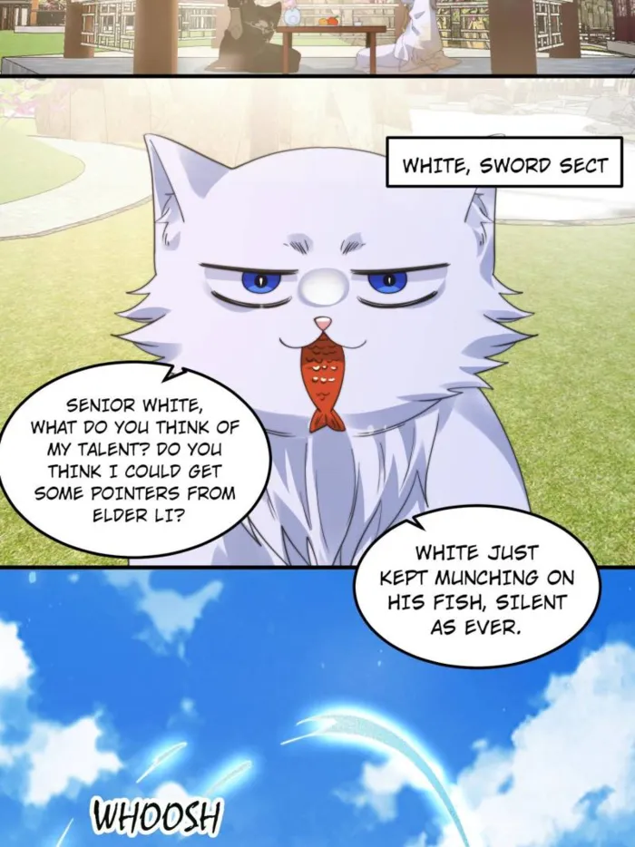 Page 36 of Chapter 231