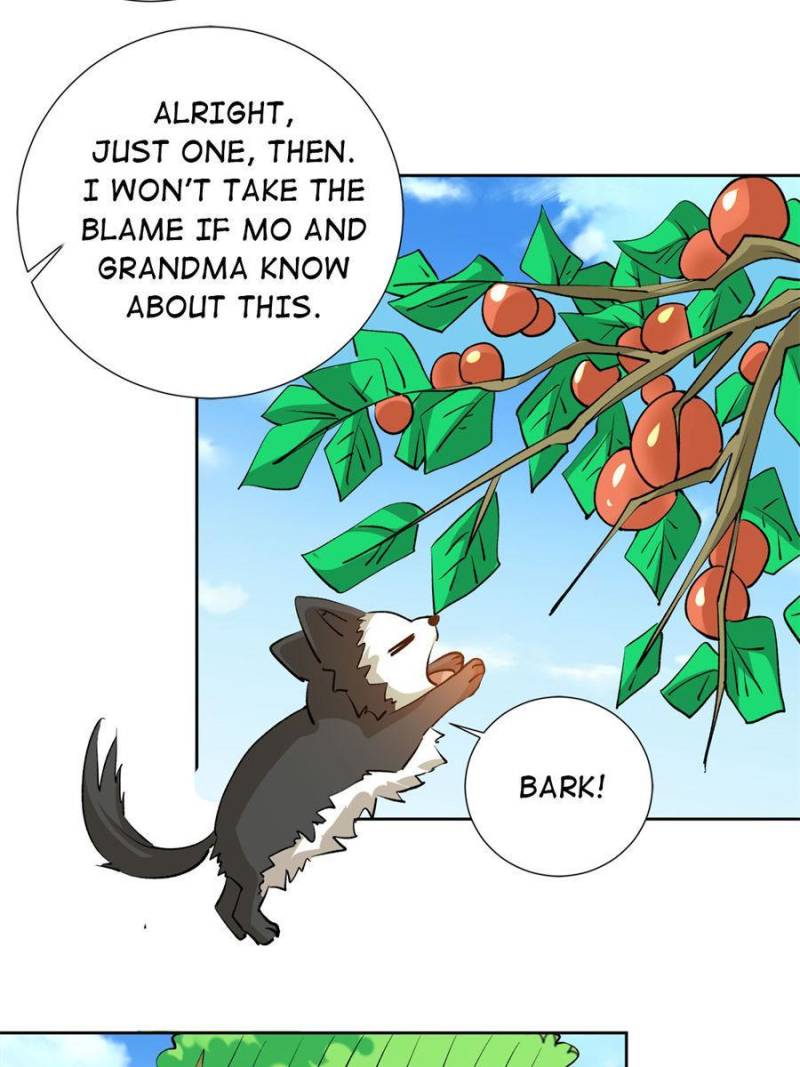 Page 13 of Chapter 279