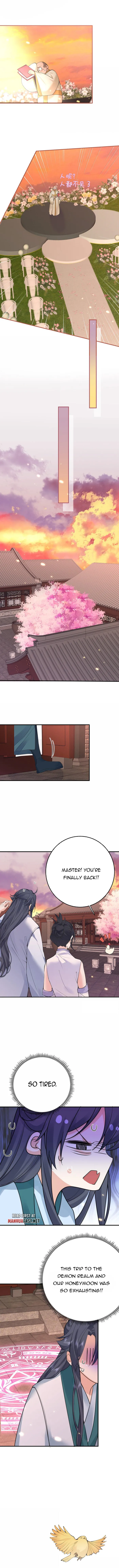 Page 3 of Chapter 288