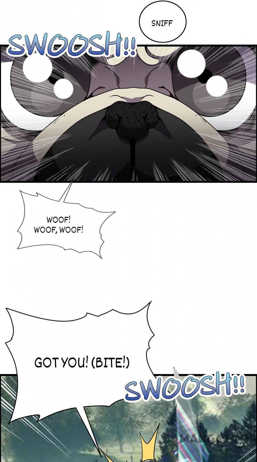 Page 17 of Chapter 62
