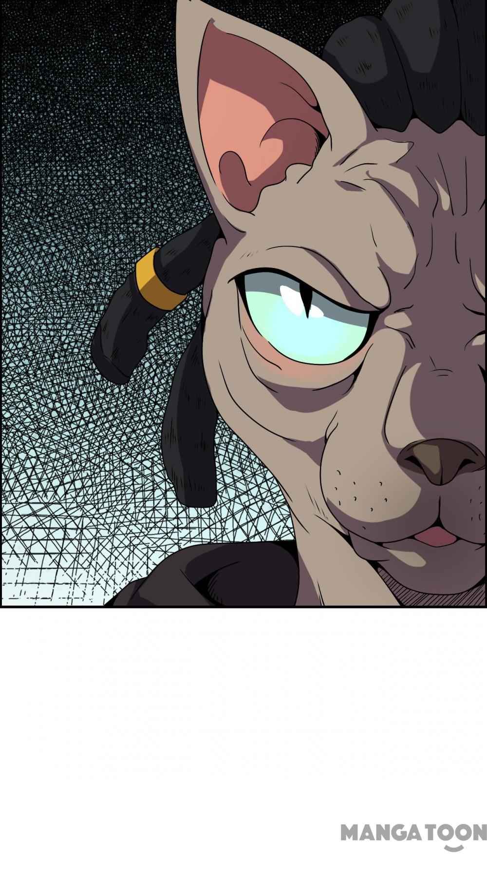Page 8 of Chapter 66
