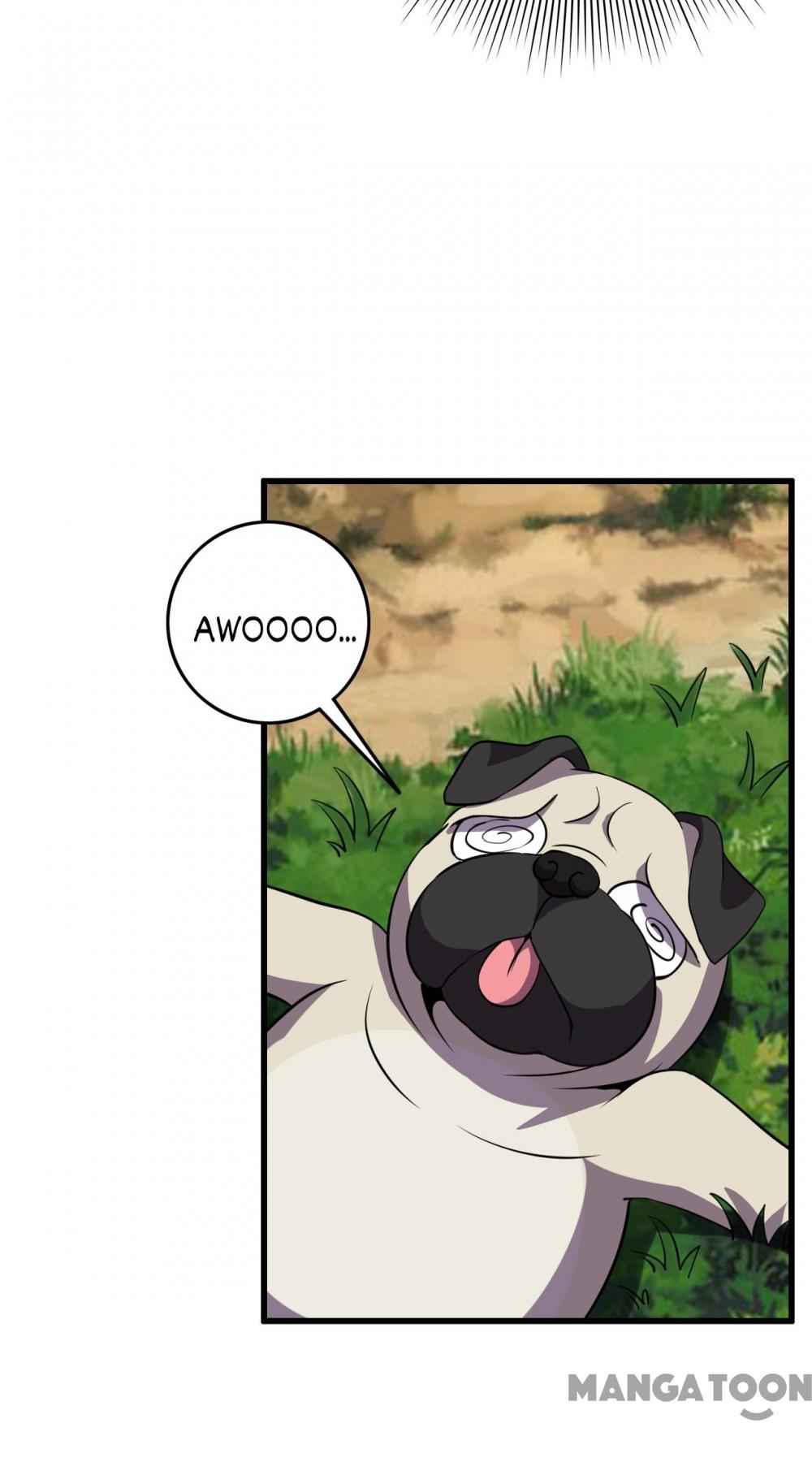 Page 26 of Chapter 75