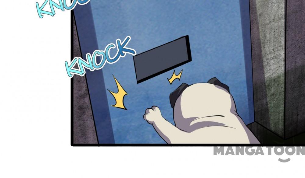 Page 20 of Chapter 81
