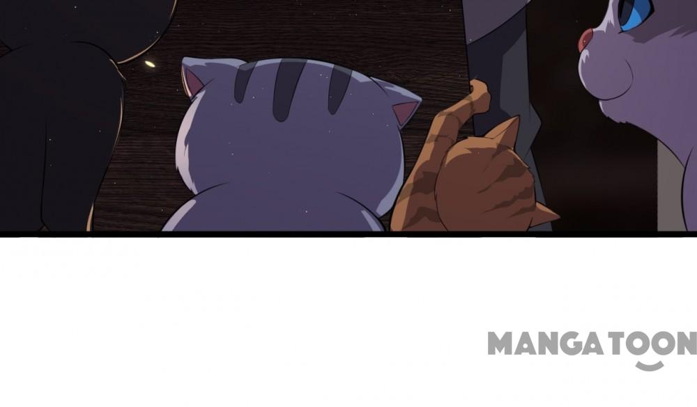 Page 25 of Chapter 81