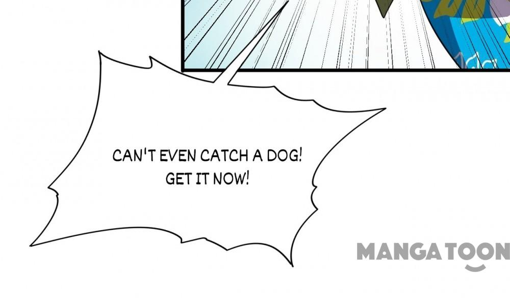 Page 33 of Chapter 82