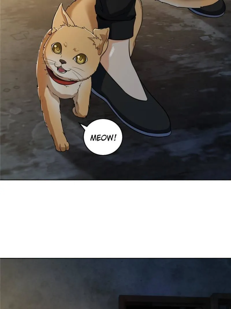 Page 13 of Chapter 21