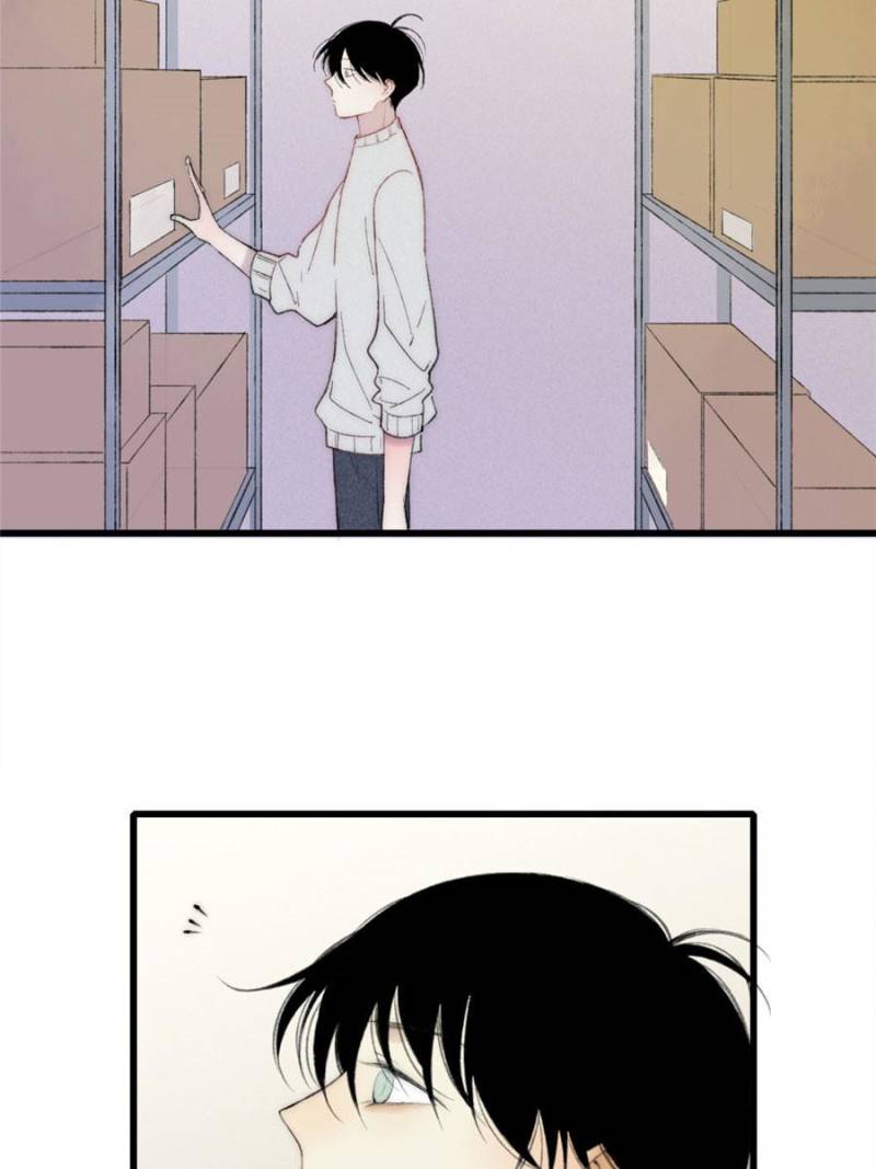 Page 41 of Chapter 12