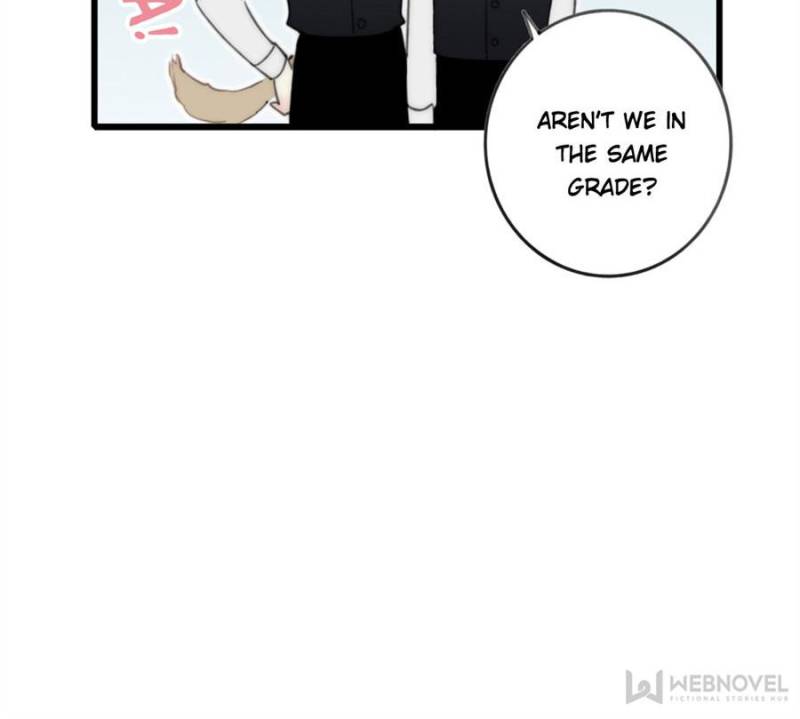 Page 43 of Chapter 13
