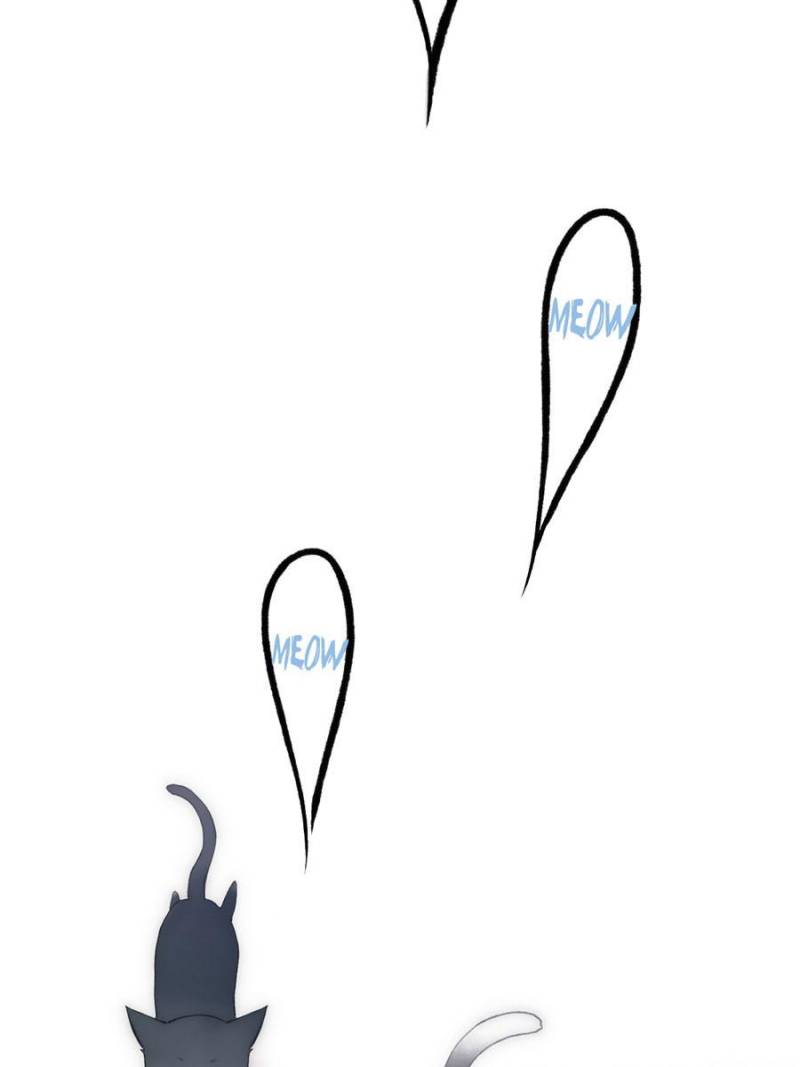Page 20 of Chapter 15