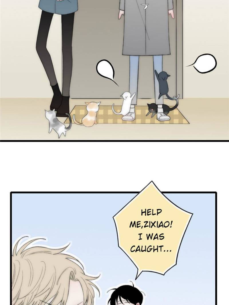 Page 24 of Chapter 15