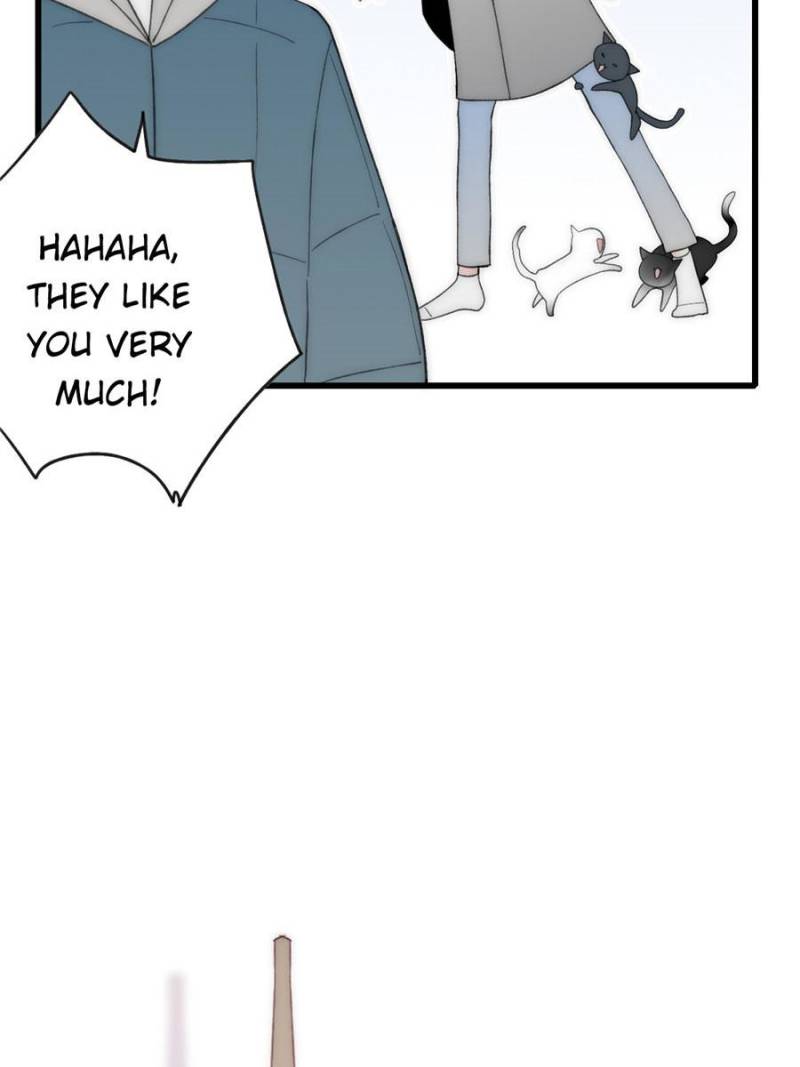 Page 26 of Chapter 15