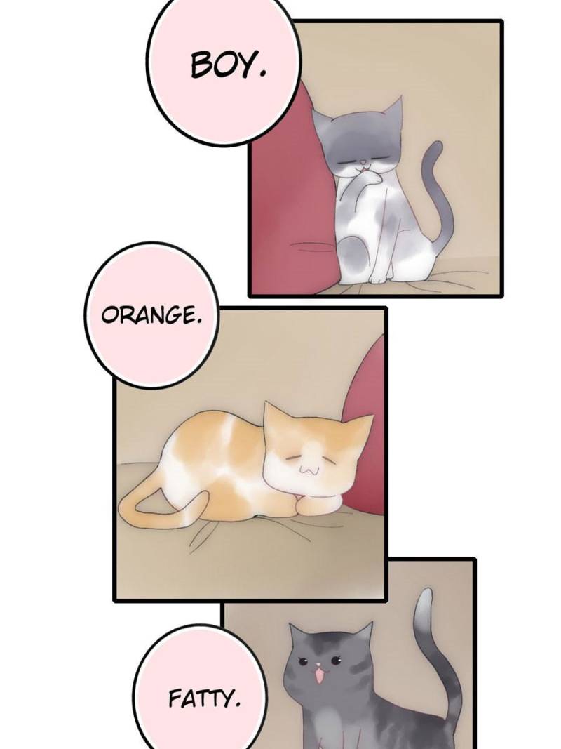 Page 28 of Chapter 15