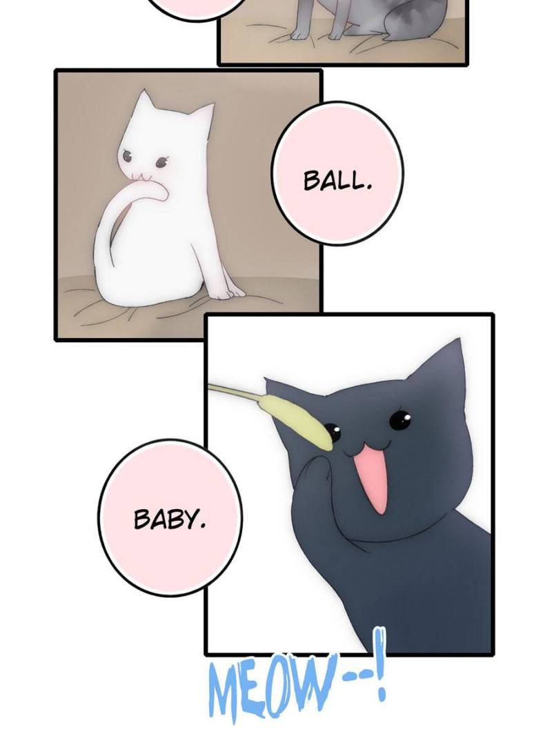 Page 29 of Chapter 15