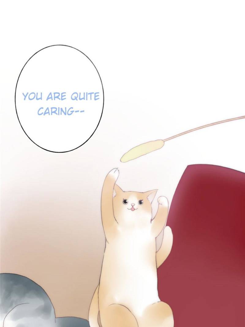 Page 33 of Chapter 15