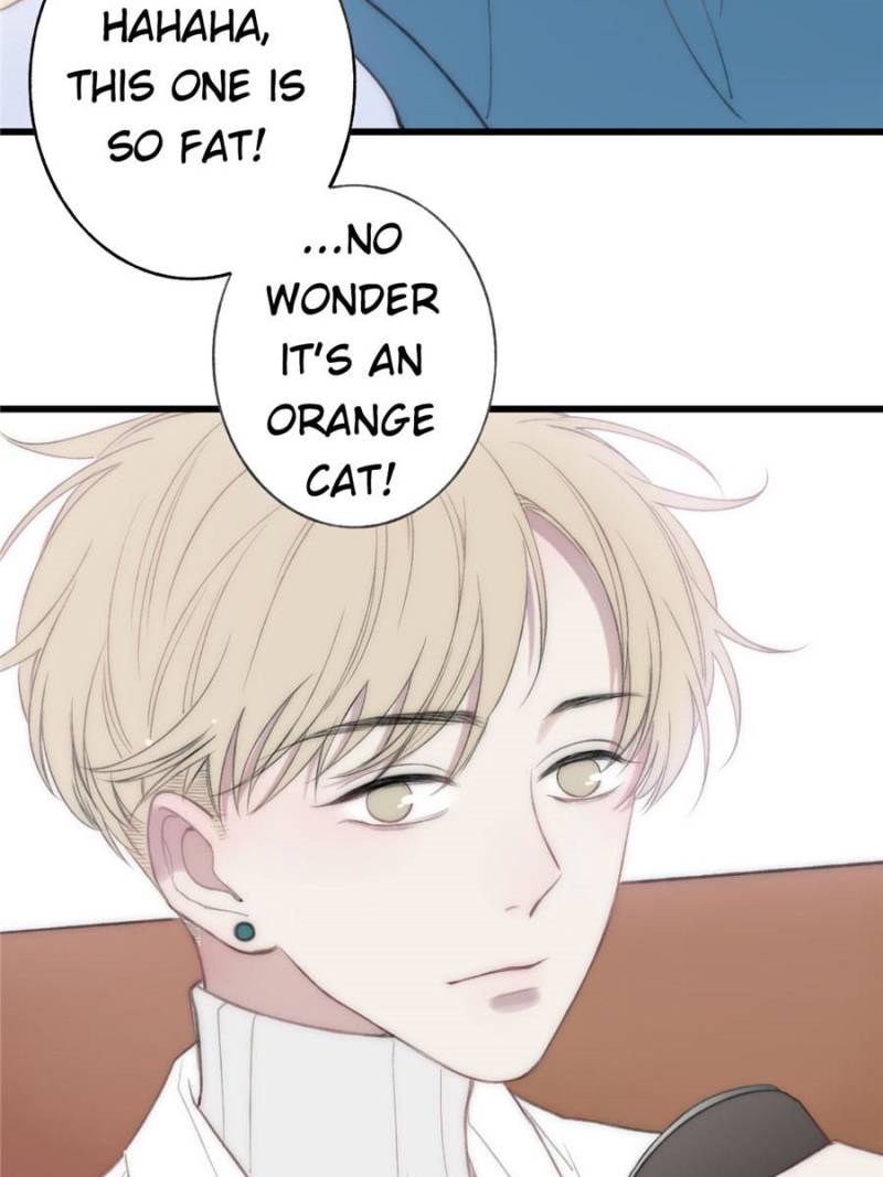 Page 37 of Chapter 15