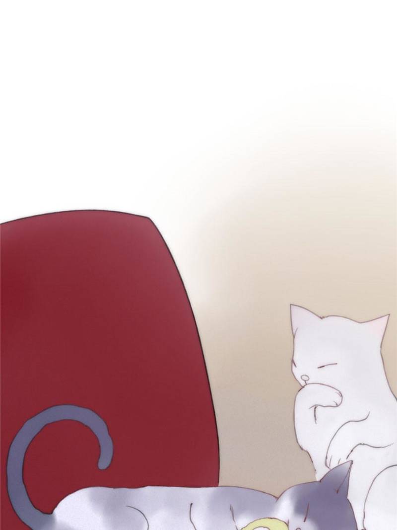 Page 49 of Chapter 15