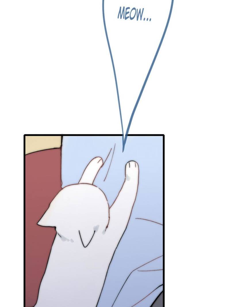 Page 71 of Chapter 29