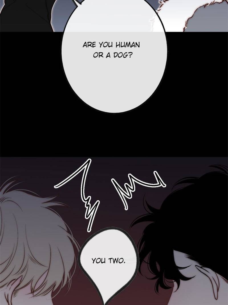 Page 42 of Chapter 49