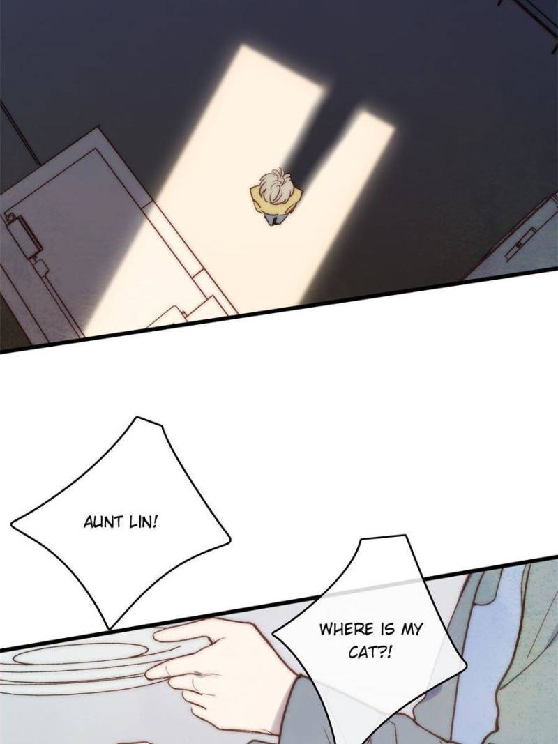 Page 46 of Chapter 65