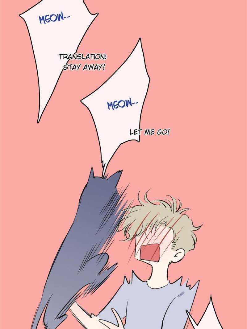 Page 31 of Chapter 70