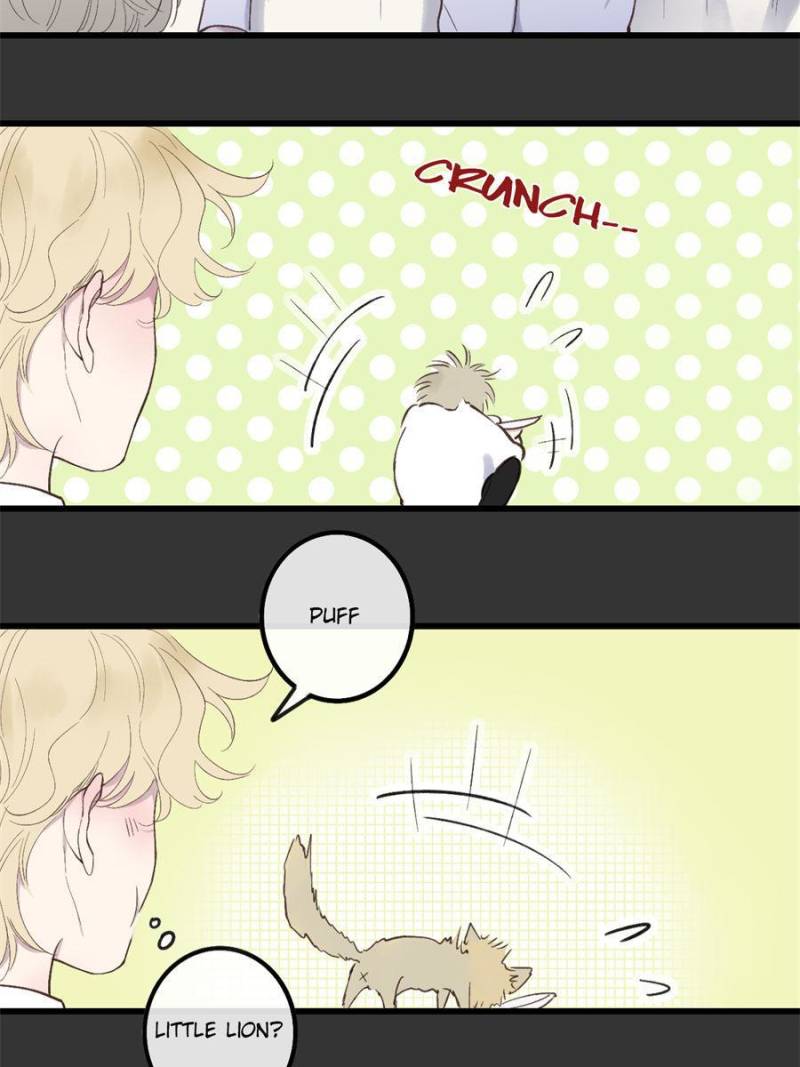 Page 3 of Chapter 81