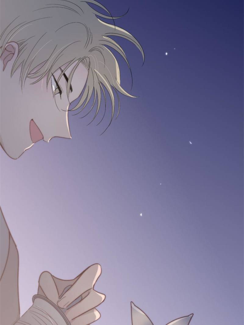Page 20 of Chapter 95