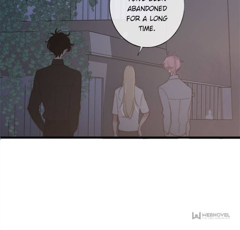 Page 24 of Chapter 95