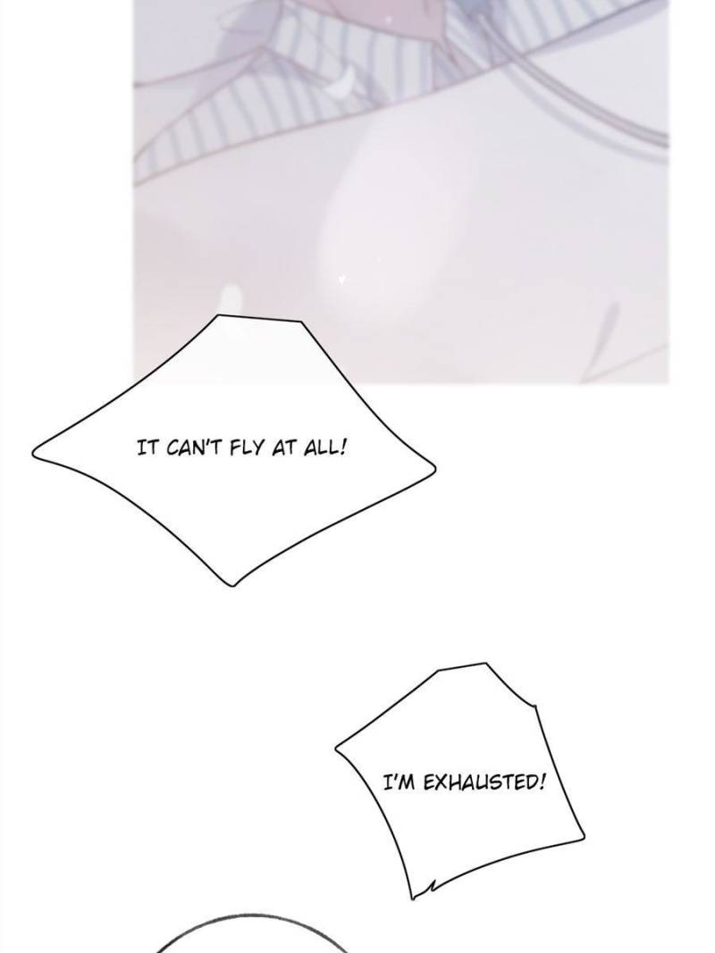 Page 39 of Chapter 95