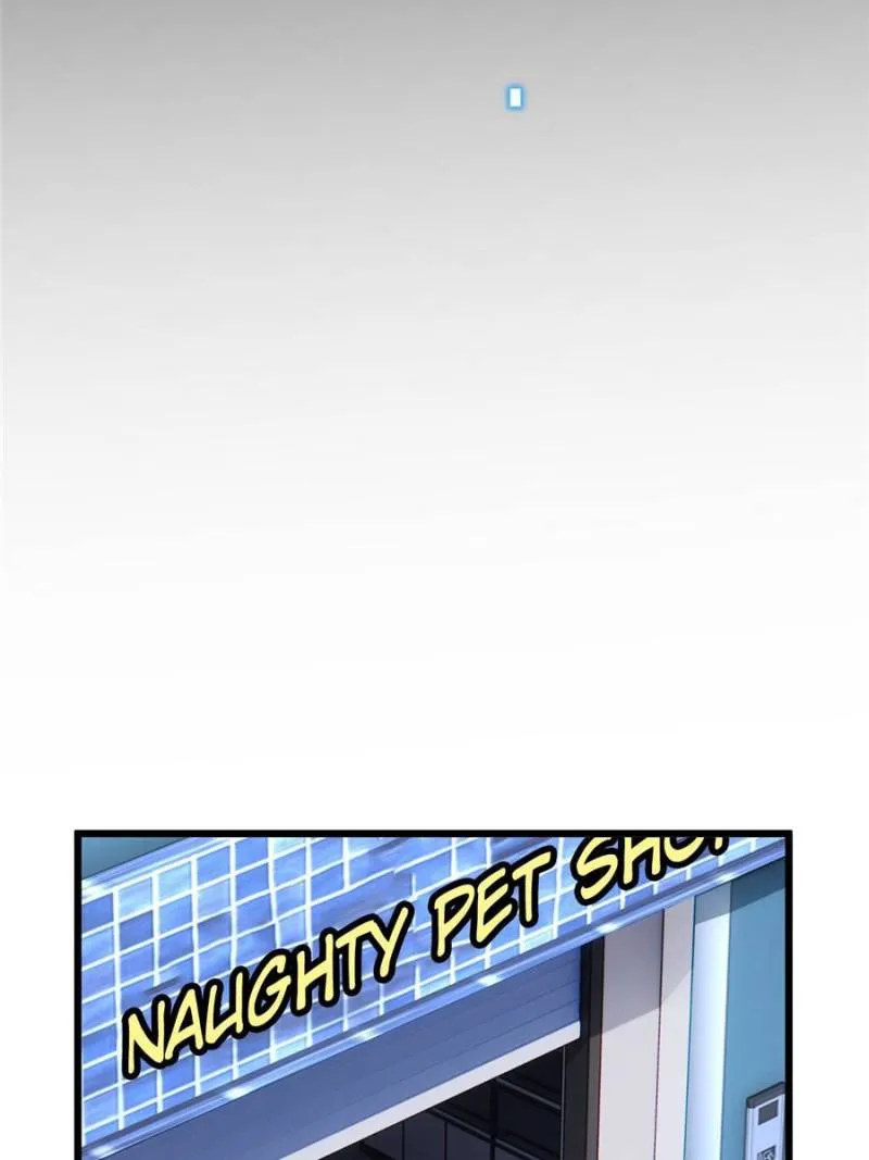 Page 66 of Chapter 13