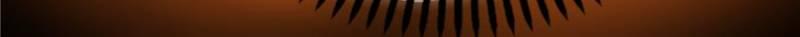 Page 32 of Chapter 47