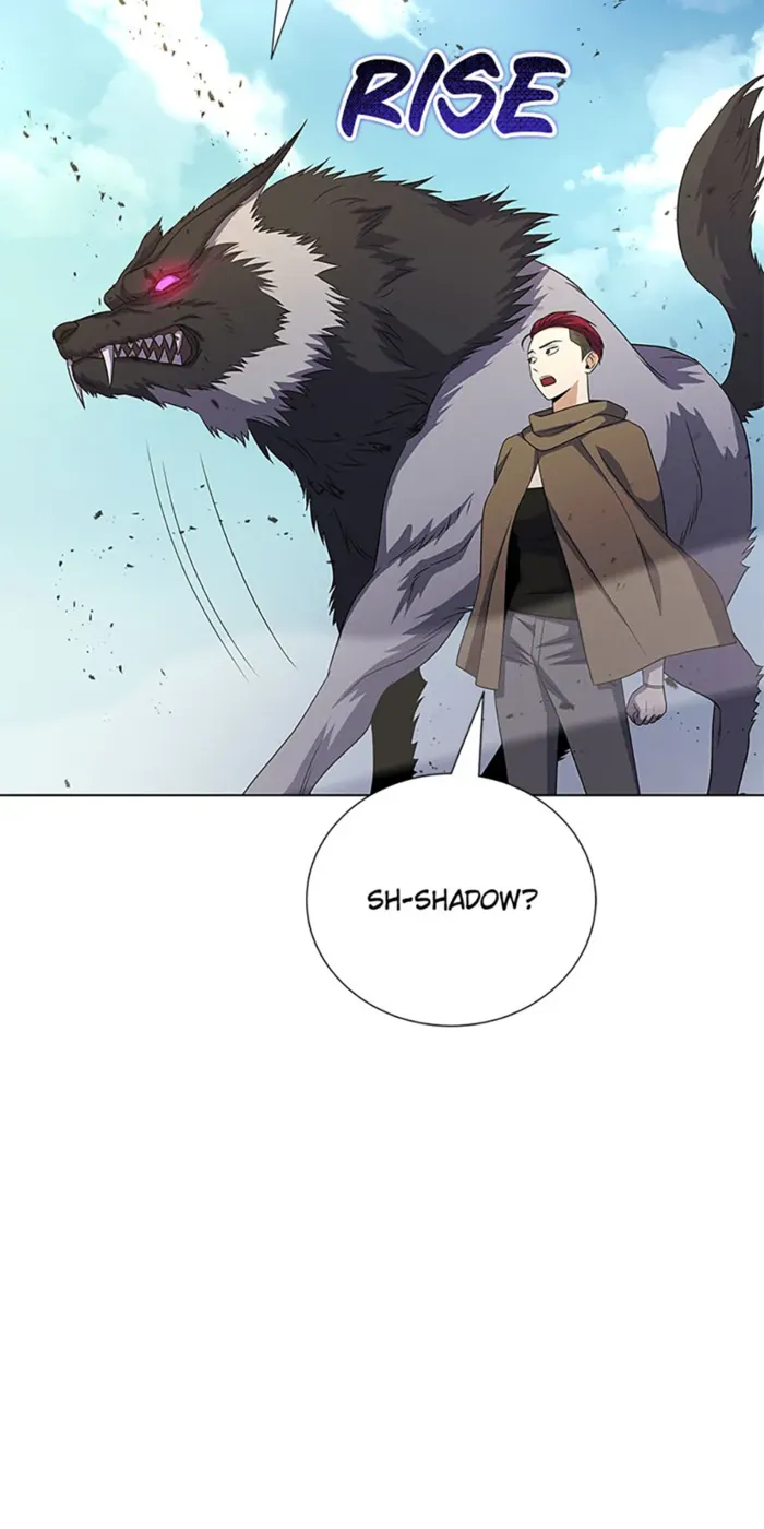 Page 15 of Chapter 98