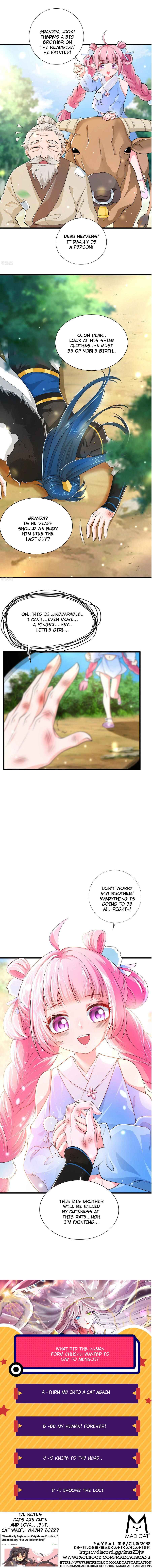 Page 5 of Chapter 12