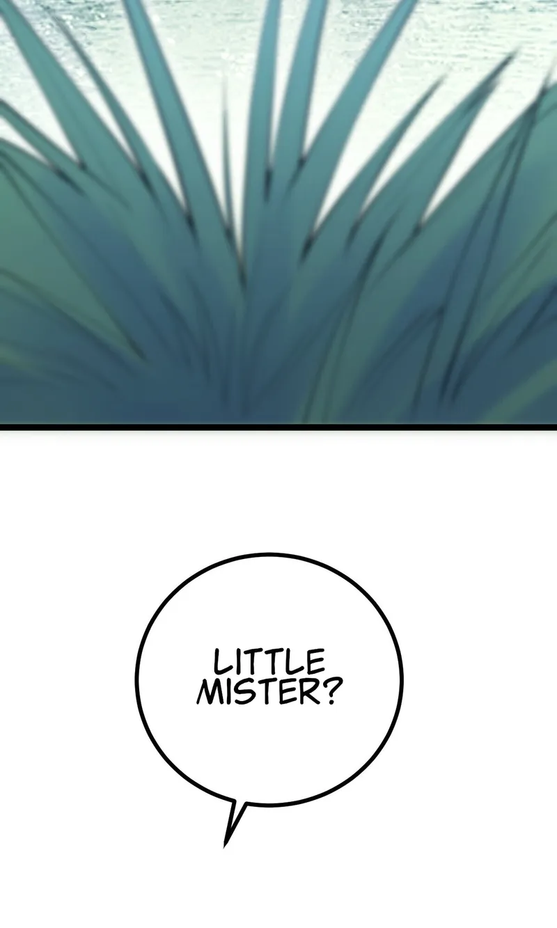 Page 16 of Chapter 11