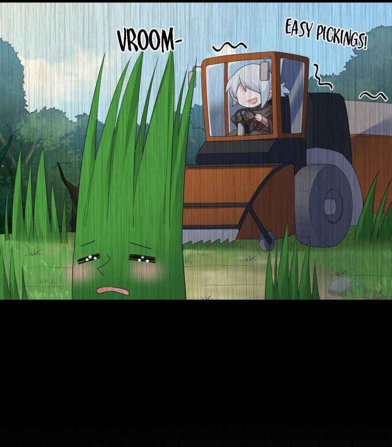 Page 11 of Chapter 15