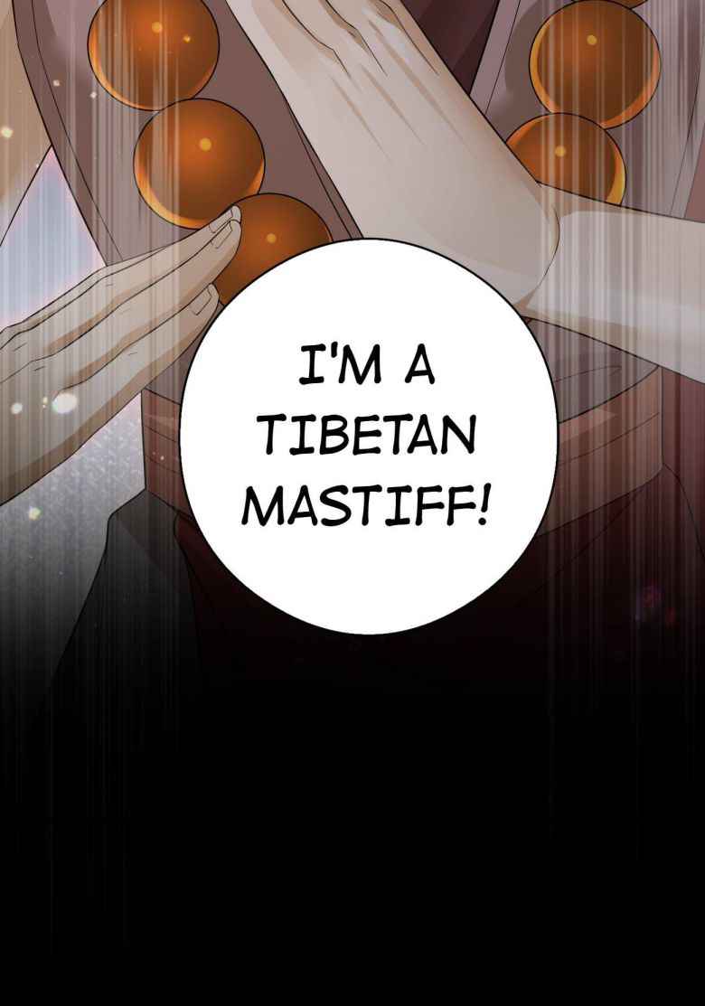 Page 33 of Chapter 20