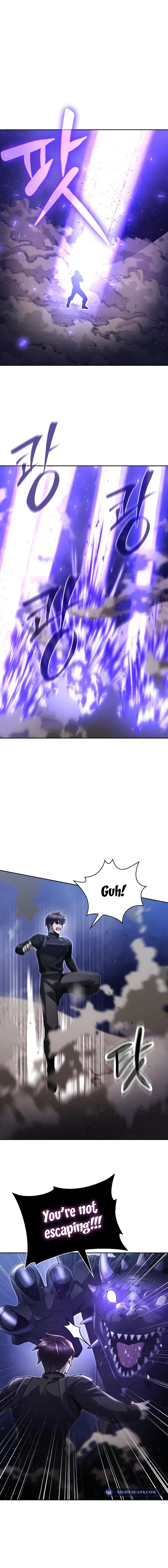 Page 13 of Chapter 95