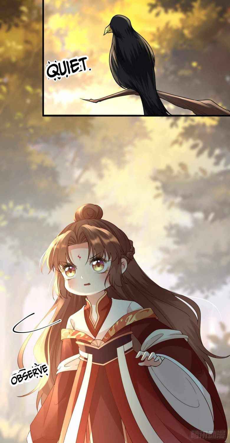 Page 26 of Chapter 40