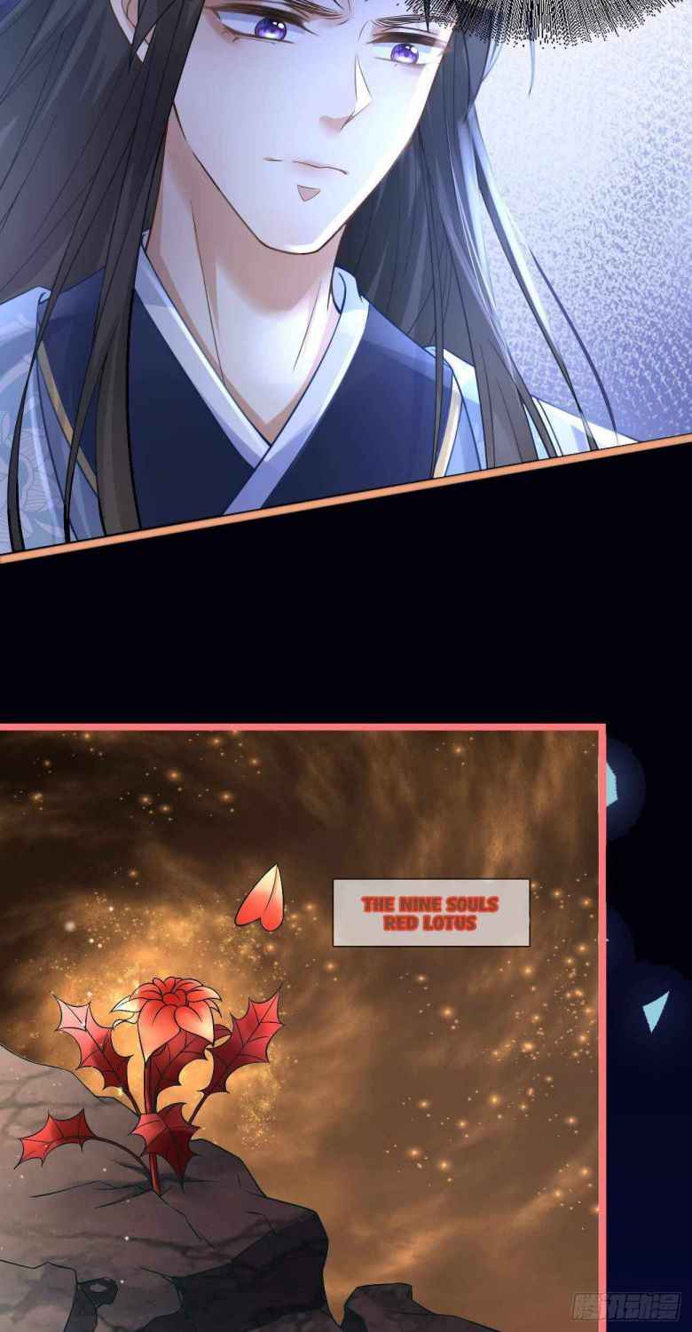 Page 3 of Chapter 48