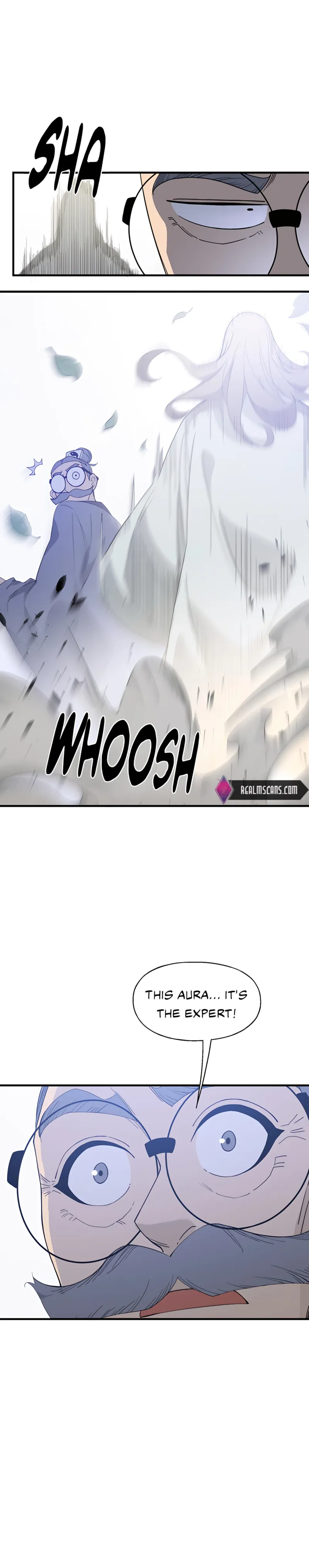 Page 13 of Chapter 17