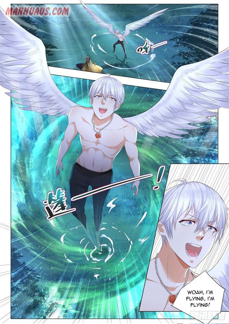 Page 11 of Chapter 219
