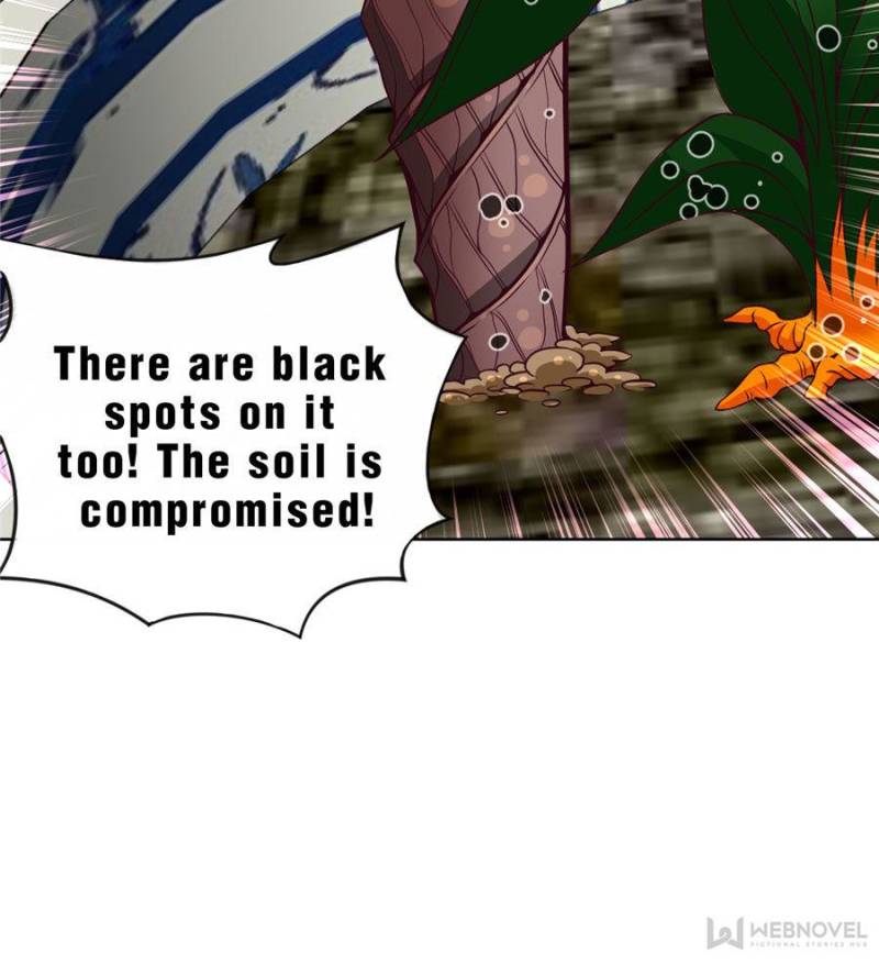 Page 24 of Chapter 41