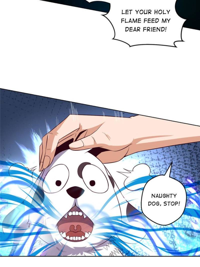 Page 43 of Chapter 51