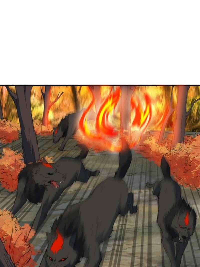 Page 65 of Chapter 43