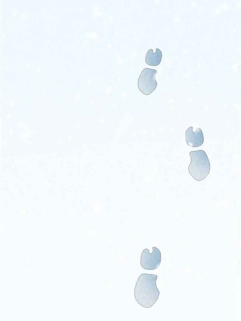 Page 31 of Chapter 52