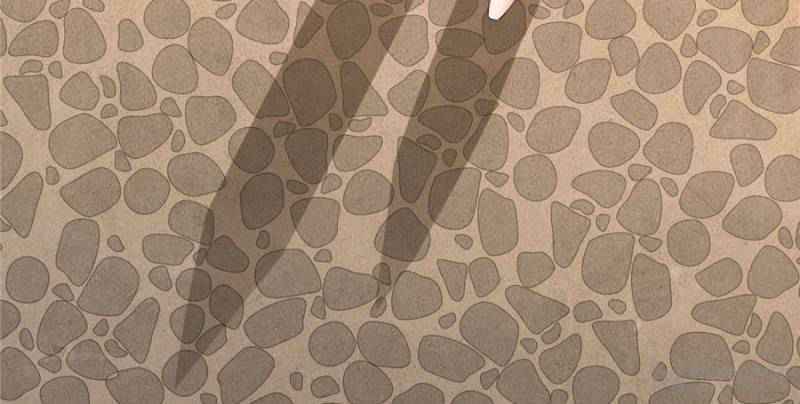 Page 36 of Chapter 58