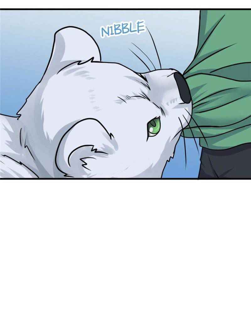 Page 12 of Chapter 64