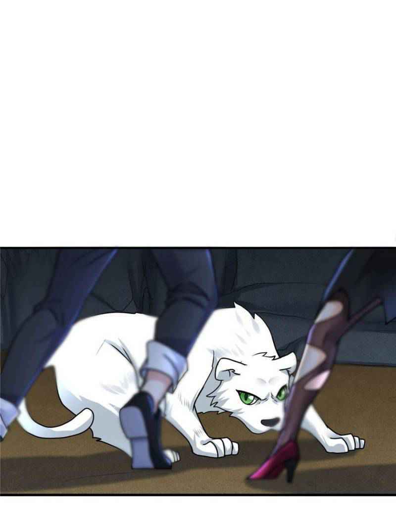 Page 5 of Chapter 65